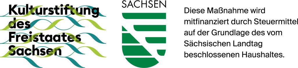 Logo KDFS